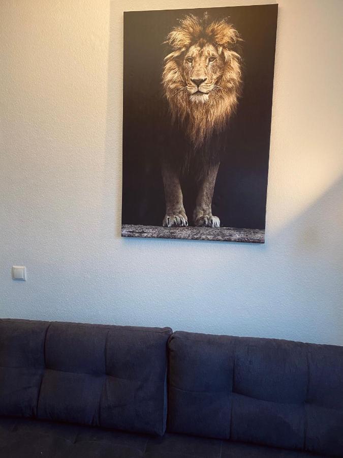 Zentrale Beautiful Apartment In Koblenz コブレンツ エクステリア 写真